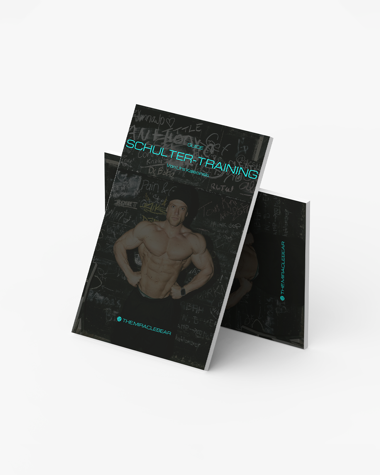 Schulter Training E-Book - 🇩🇪 Version